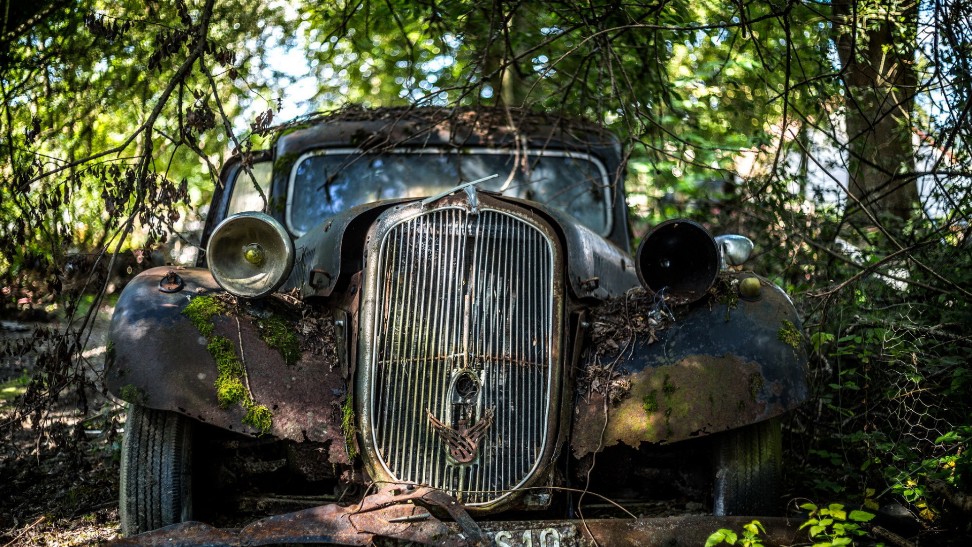 Voiture Vintage Verte en Forêt Pendant la Journée. Wallpaper in 1920x1080 Resolution