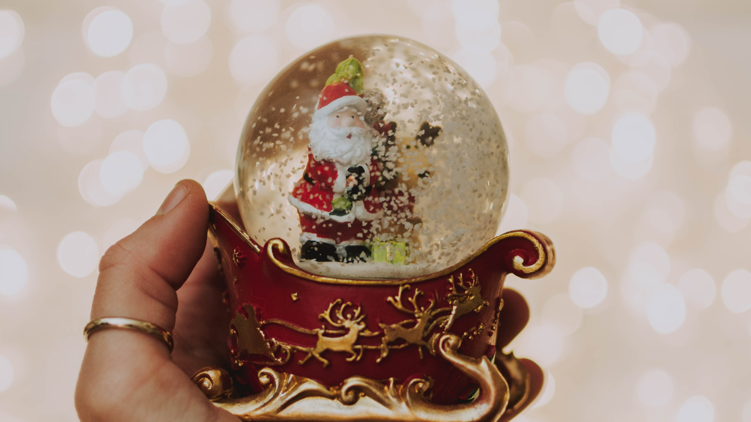 Person Holding White and Red Christmas Bauble. Wallpaper in 2560x1440 Resolution