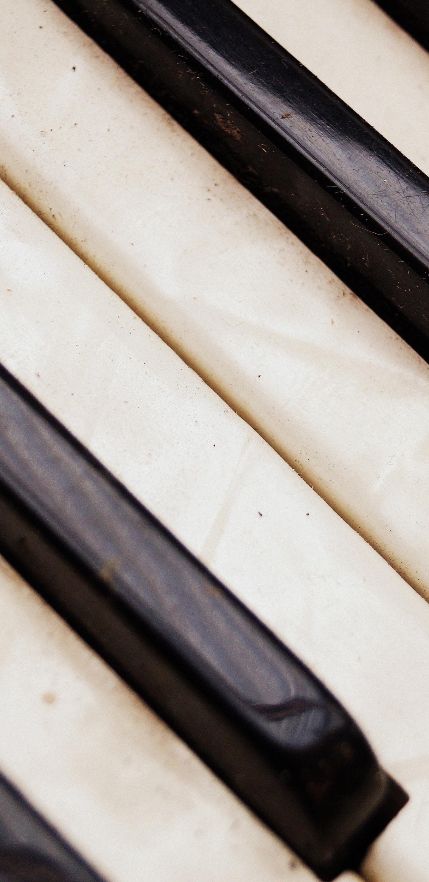 Acordeón, Piano Digital, Instrumento Musical, Teclado, Sica. Wallpaper in 1440x2960 Resolution