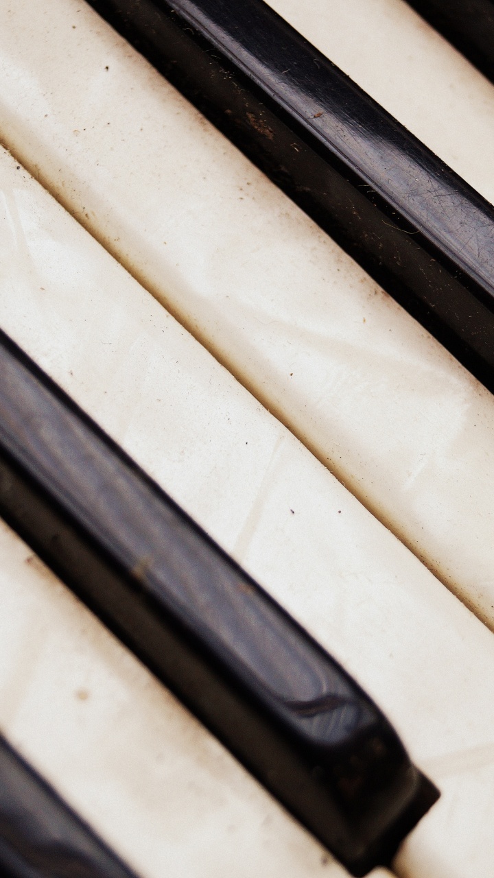 Acordeón, Piano Digital, Instrumento Musical, Teclado, Sica. Wallpaper in 720x1280 Resolution