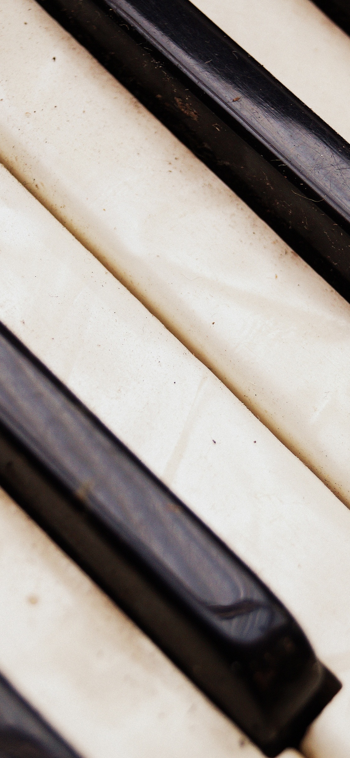 Ziehharmonika, Digitalpiano, Tastatur, Musik, Musiker. Wallpaper in 1125x2436 Resolution