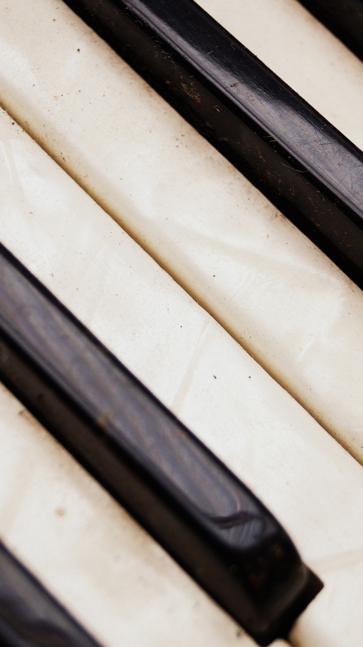 Ziehharmonika, Digitalpiano, Tastatur, Musik, Musiker. Wallpaper in 750x1334 Resolution