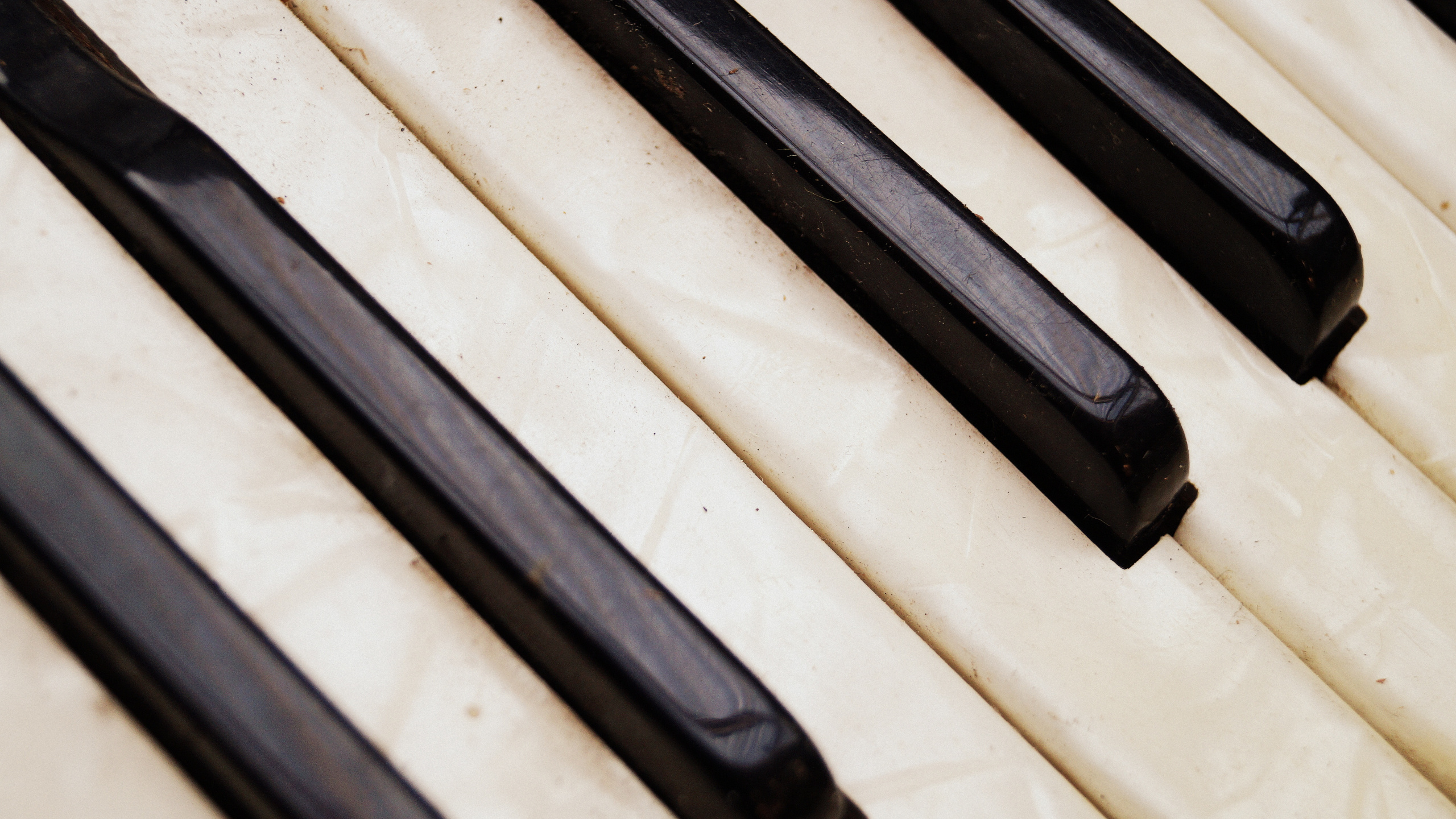 Accordéon, Piano Numérique, Instrument de Musique, Clavier, Clé. Wallpaper in 2560x1440 Resolution