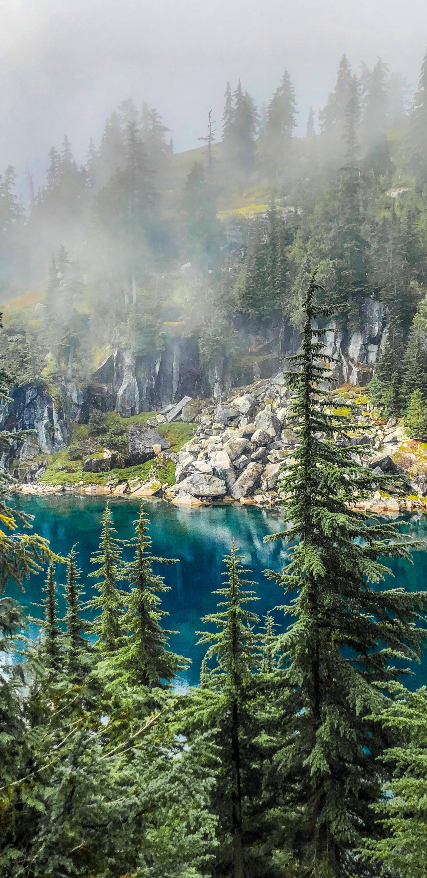 Natur, Wildnis, Wasser, Wasserressourcen, Cloud. Wallpaper in 1440x2960 Resolution