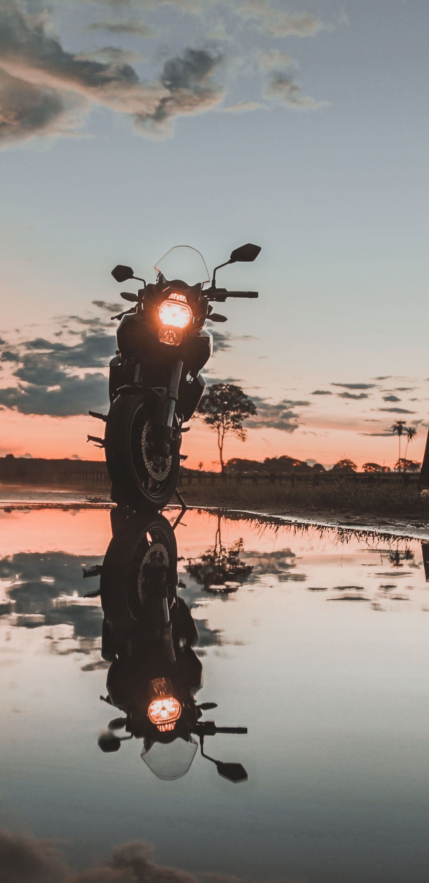 Man Riding Bicycle on Lake During Sunset. Wallpaper in 1440x2960 Resolution