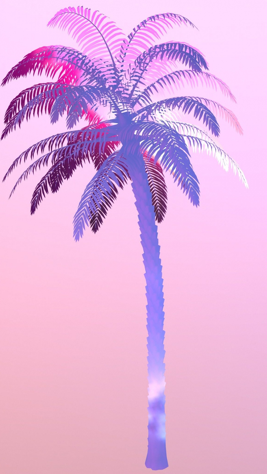 Palmera Verde Bajo un Cielo Azul Durante el Día. Wallpaper in 1080x1920 Resolution