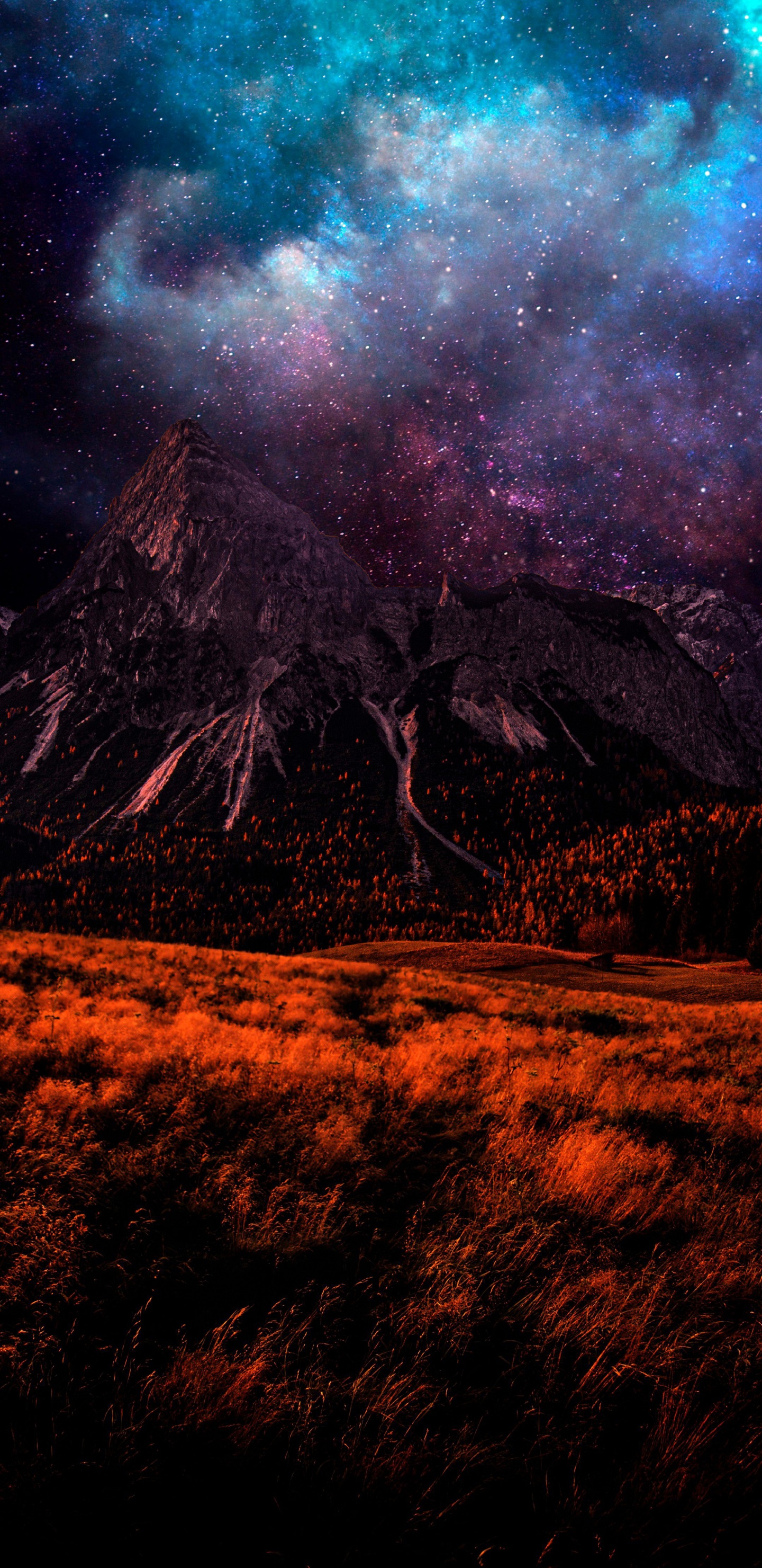 Erde, Atmosphäre, Ökoregion, Naturlandschaft, Natürlichen Umgebung. Wallpaper in 1440x2960 Resolution