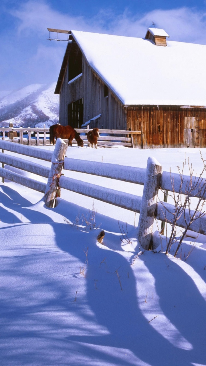 Brown Wooden House on Snow Covered Ground During Daytime. Wallpaper in 720x1280 Resolution
