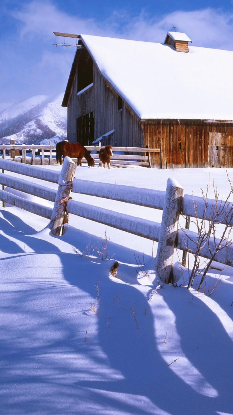 Brown Wooden House on Snow Covered Ground During Daytime. Wallpaper in 750x1334 Resolution
