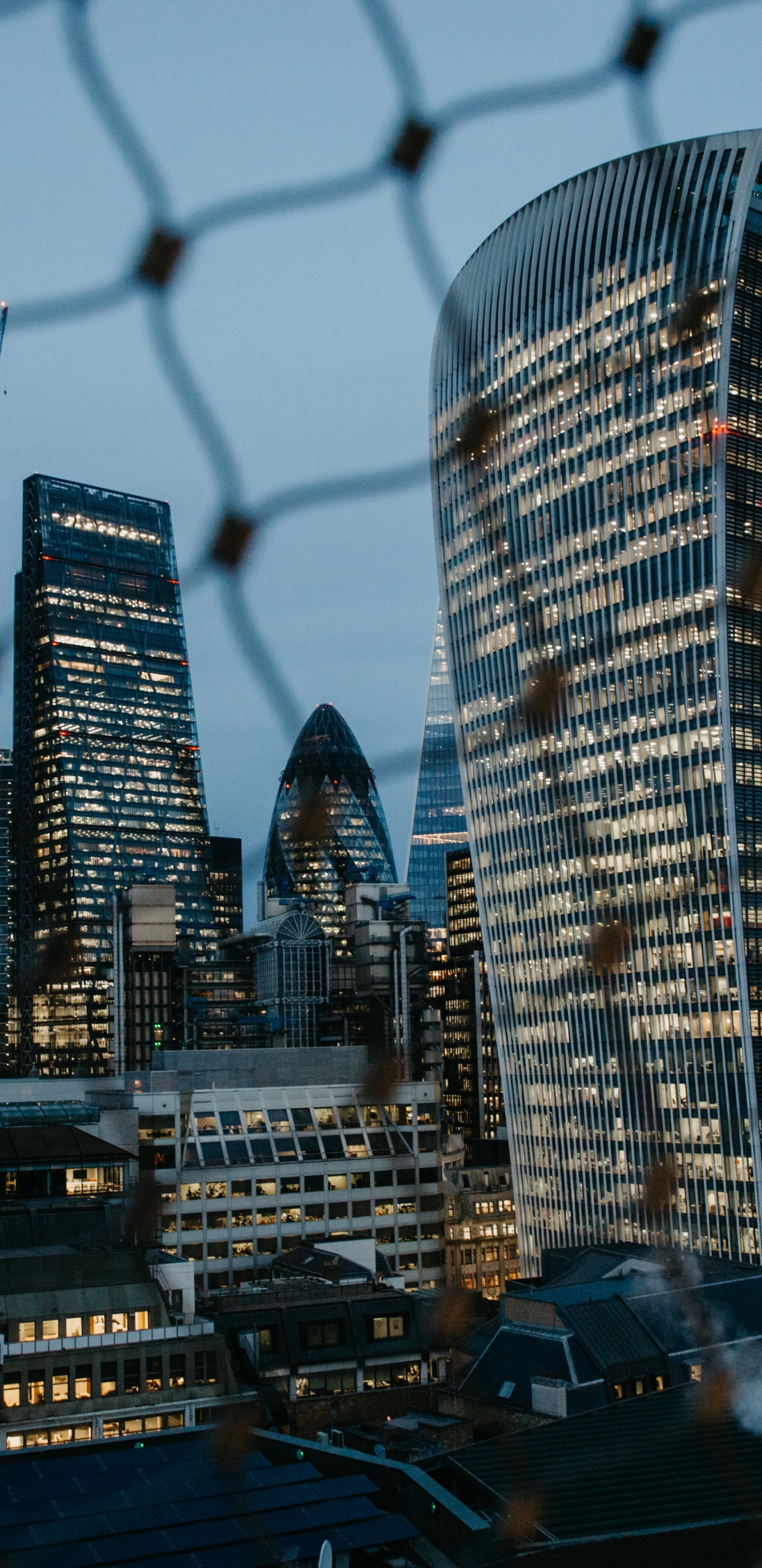 Horizon de la Ville Pendant la Nuit. Wallpaper in 1440x2960 Resolution