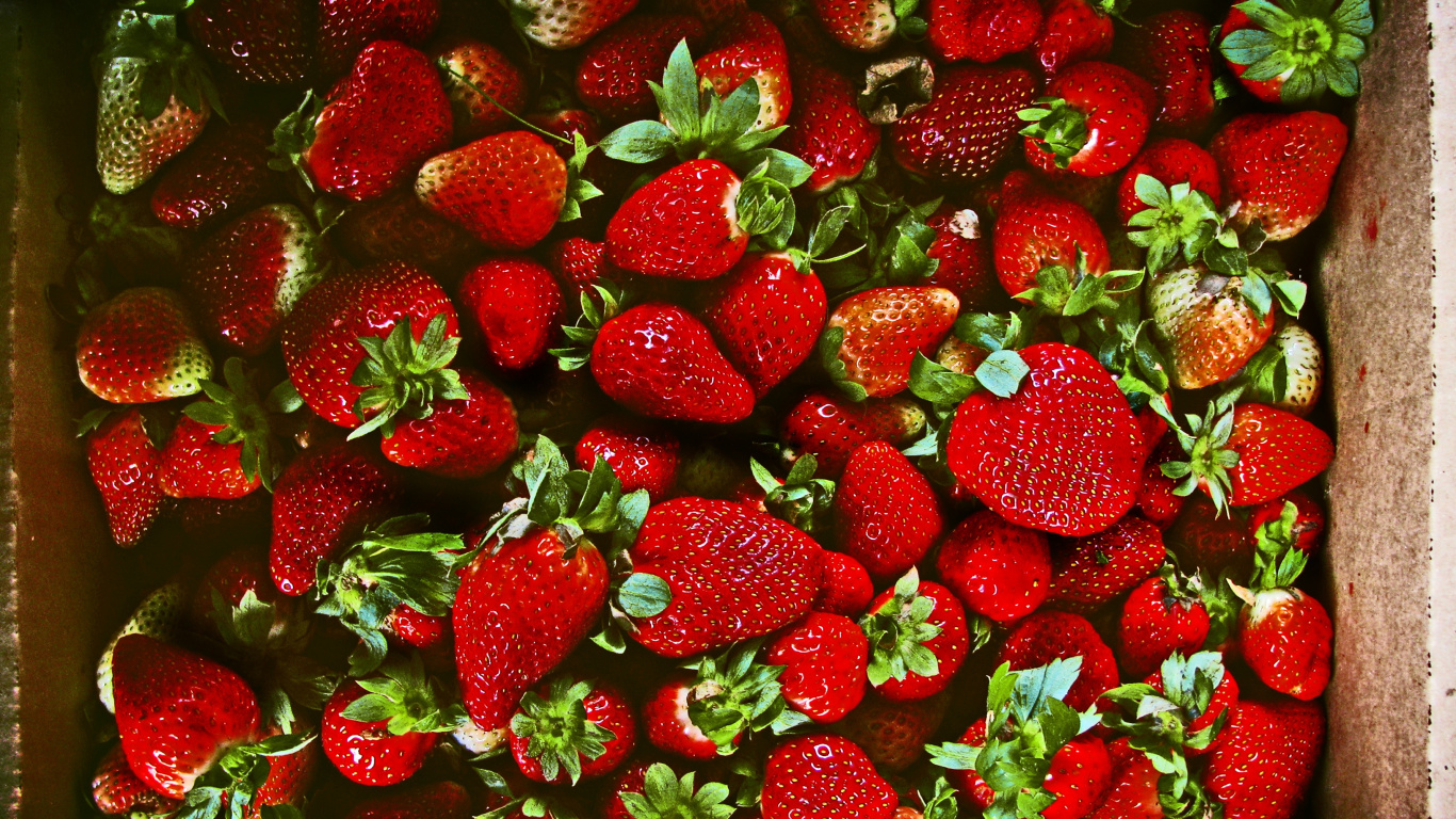Erdbeeren im Braunen Holzbehälter. Wallpaper in 1366x768 Resolution