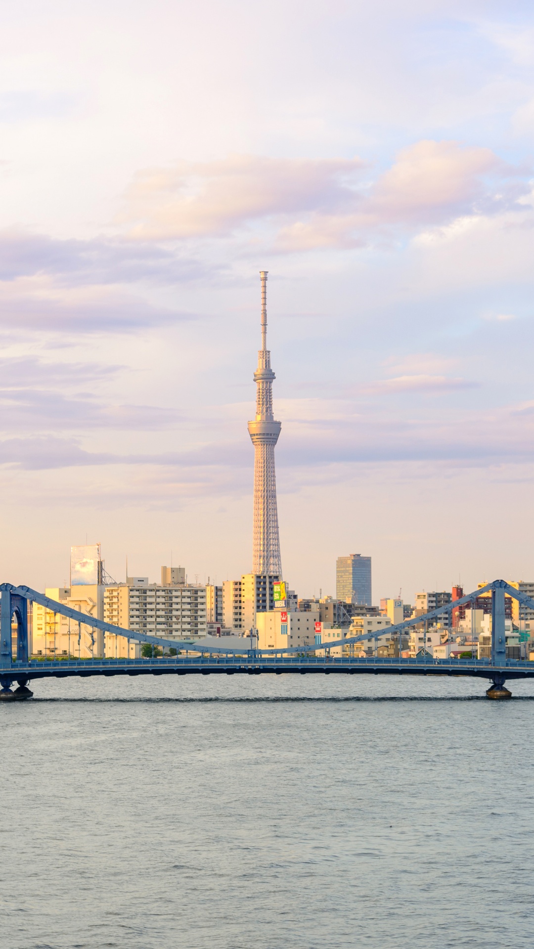 City Skyline Across Body of Water During Daytime. Wallpaper in 1080x1920 Resolution