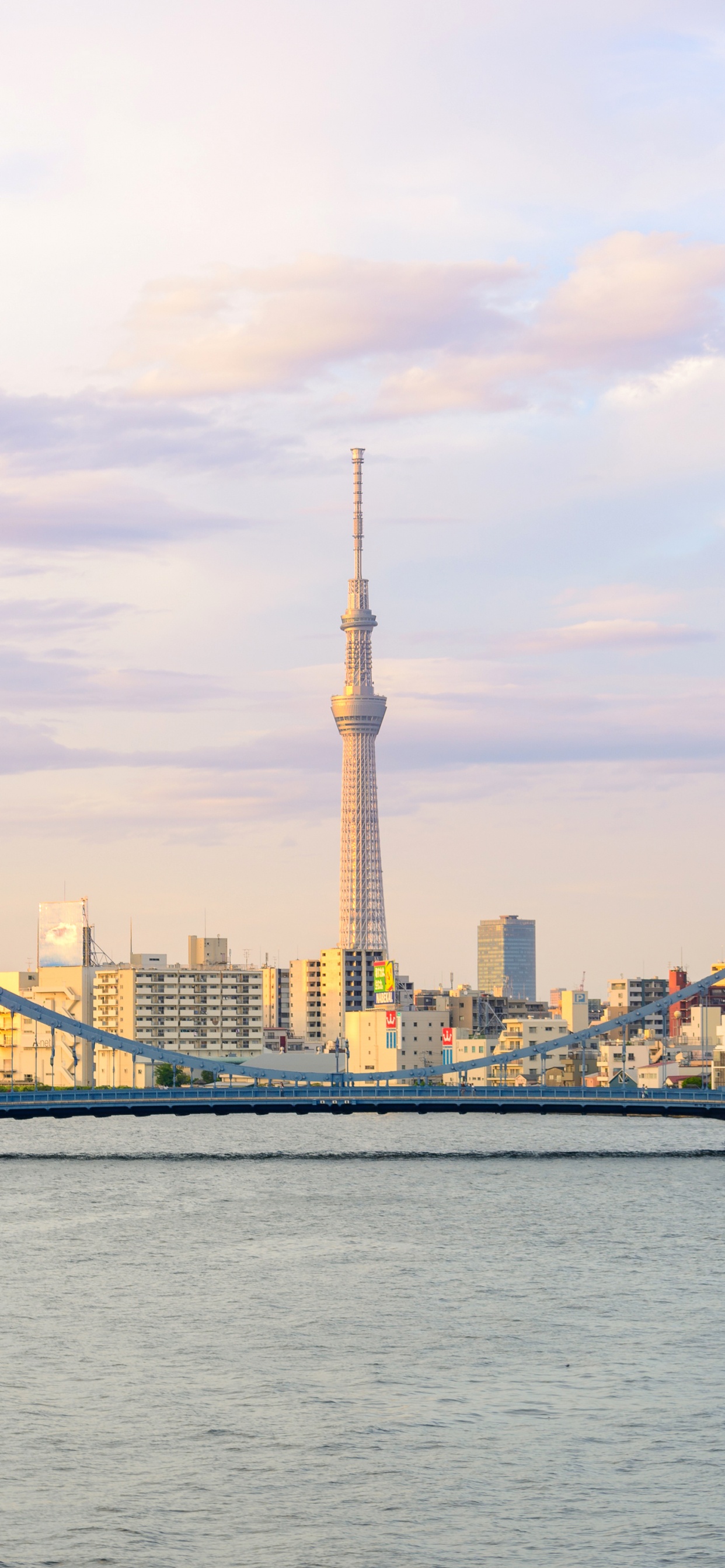 City Skyline Across Body of Water During Daytime. Wallpaper in 1242x2688 Resolution