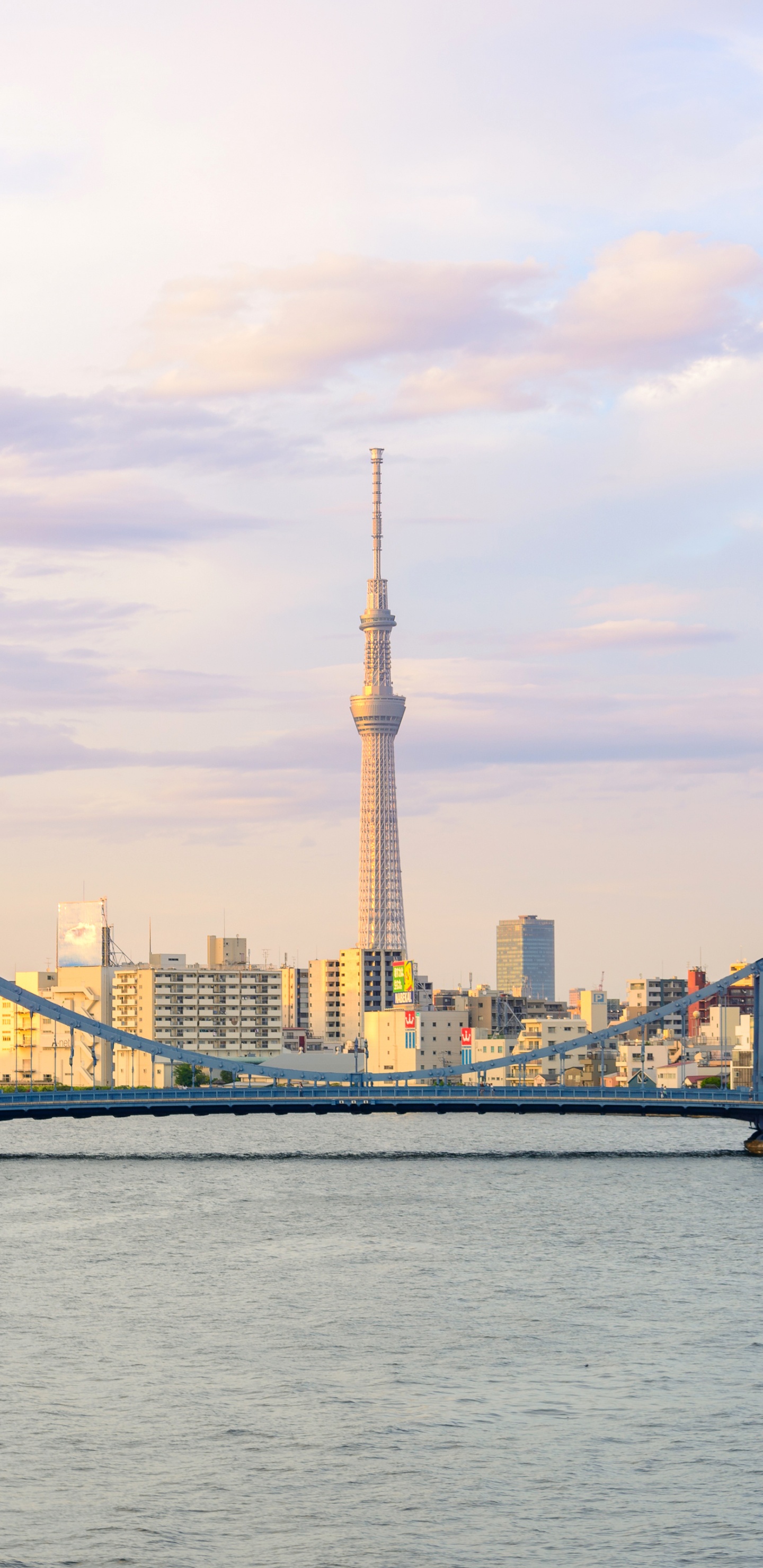 City Skyline Across Body of Water During Daytime. Wallpaper in 1440x2960 Resolution