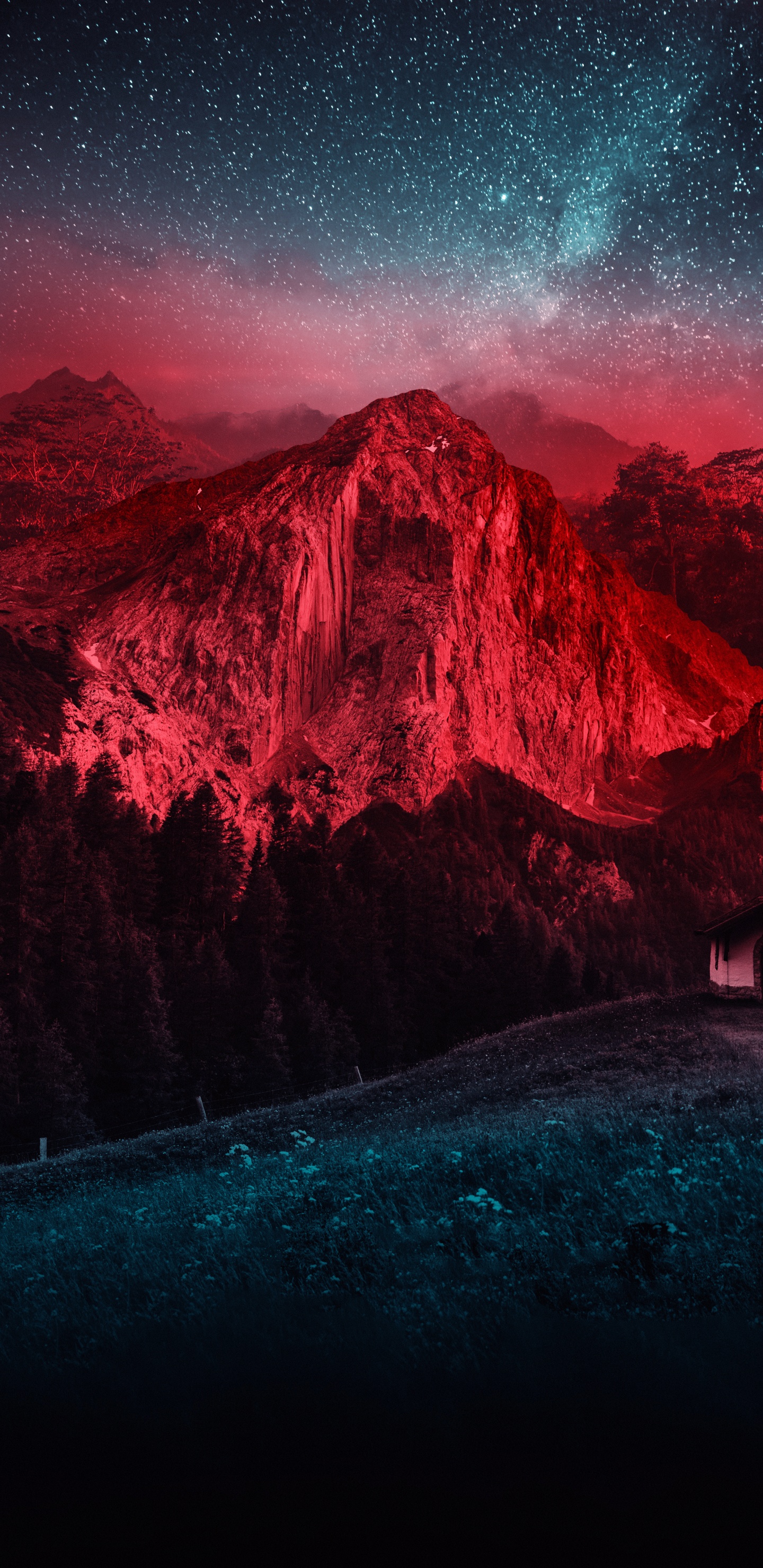 Naturaleza, Ambiente, Montaña, Paisaje Natural, Pendiente. Wallpaper in 1440x2960 Resolution