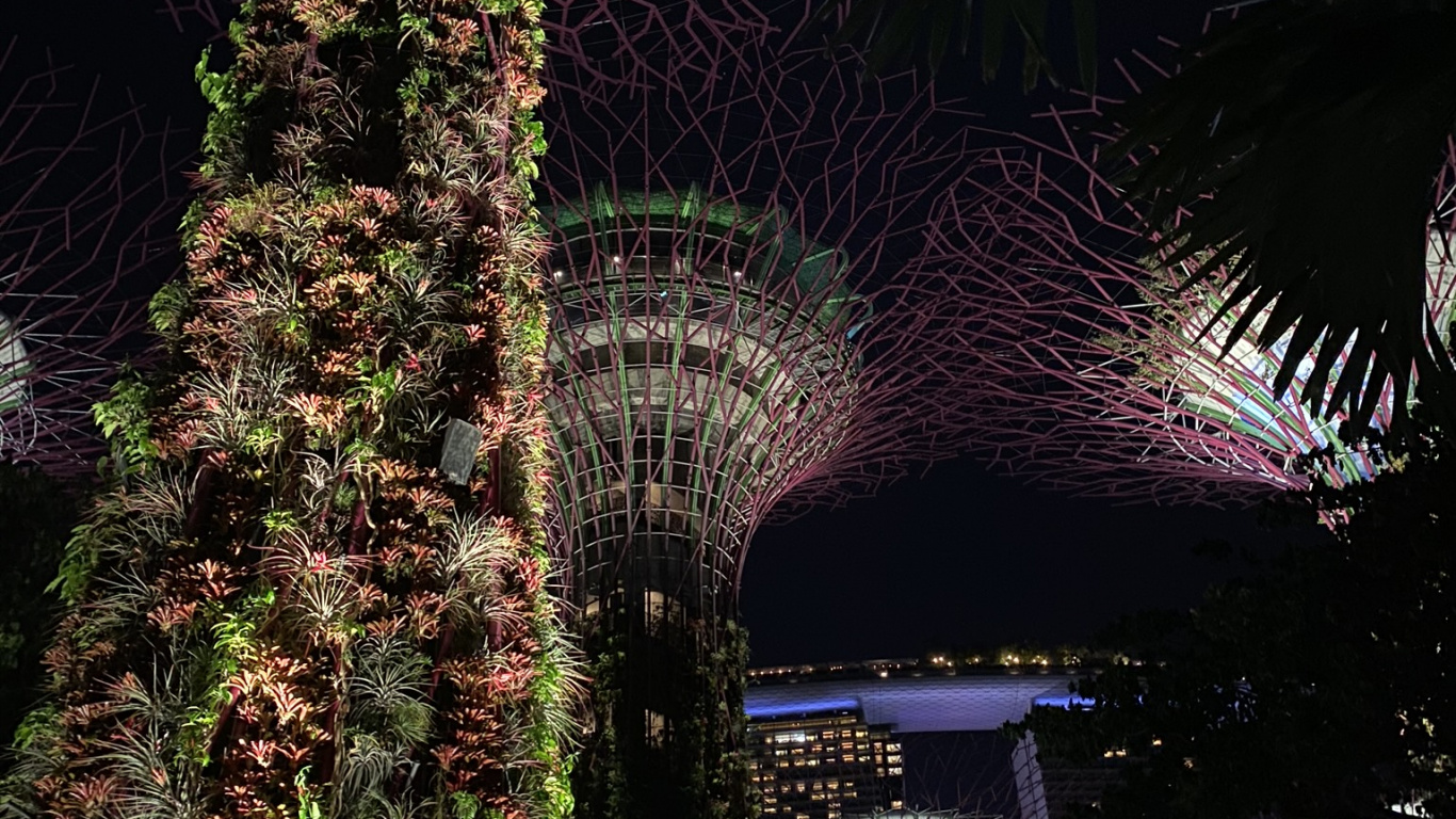 Singapur, Palmera, la Iluminación Del Paisaje, Azul Majorelle, Morado. Wallpaper in 1366x768 Resolution