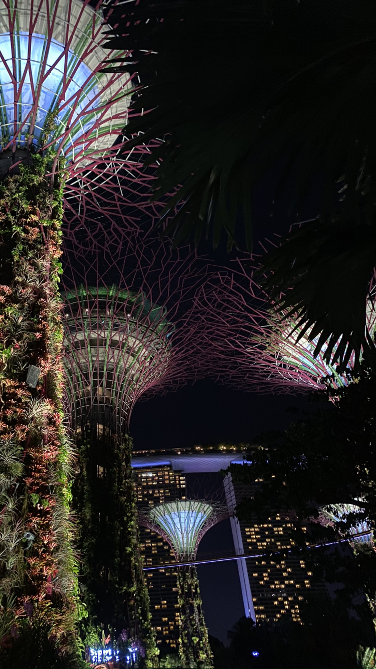 Singapur, Palmera, la Iluminación Del Paisaje, Azul Majorelle, Morado. Wallpaper in 750x1334 Resolution