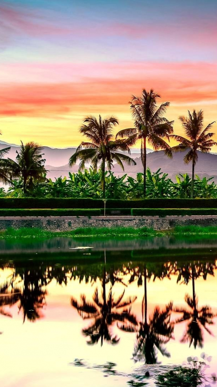 Green Trees Near Body of Water During Sunset. Wallpaper in 750x1334 Resolution