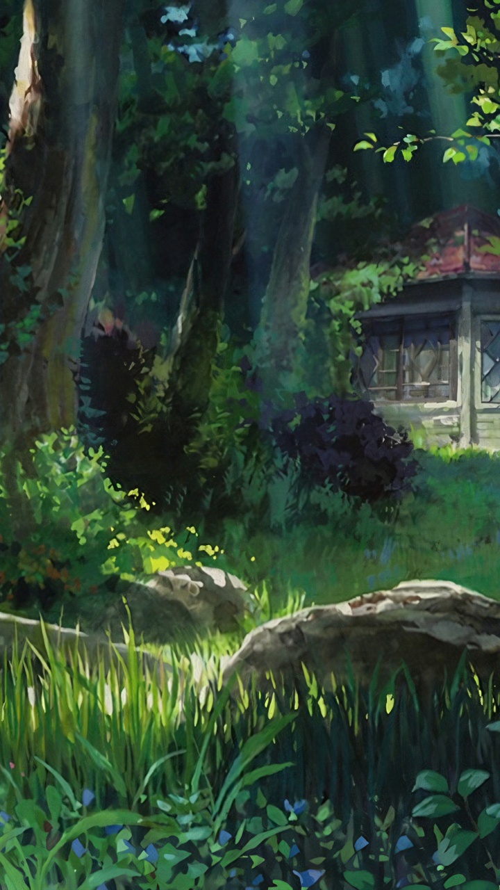 L'anime, Studio, Paysage Naturel, Plante Terrestre, Biome. Wallpaper in 720x1280 Resolution
