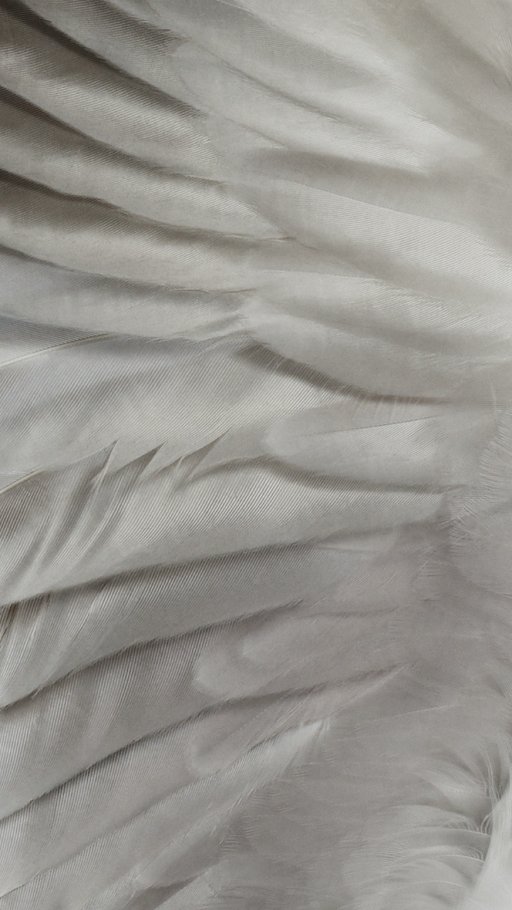 Google, Smartphone, Android, Pixel 7, Gris. Wallpaper in 720x1280 Resolution