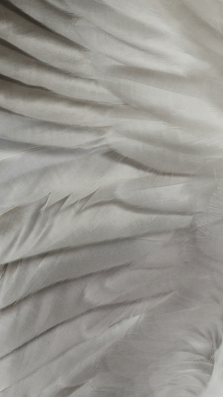 Google, Smartphone, Android, Pixel 7, Gris. Wallpaper in 750x1334 Resolution