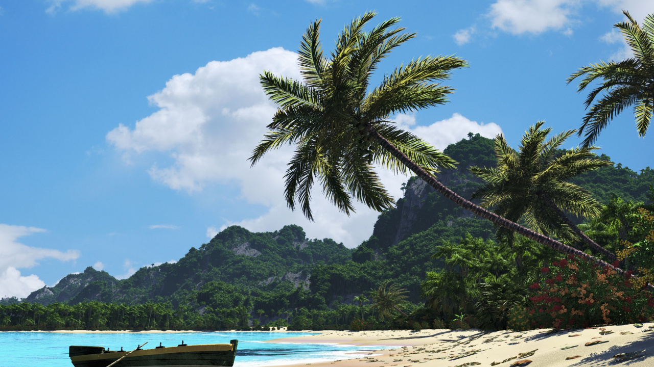 Green Palm Tree on Beach During Daytime. Wallpaper in 1280x720 Resolution