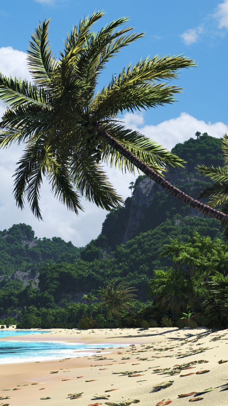 Green Palm Tree on Beach During Daytime. Wallpaper in 750x1334 Resolution