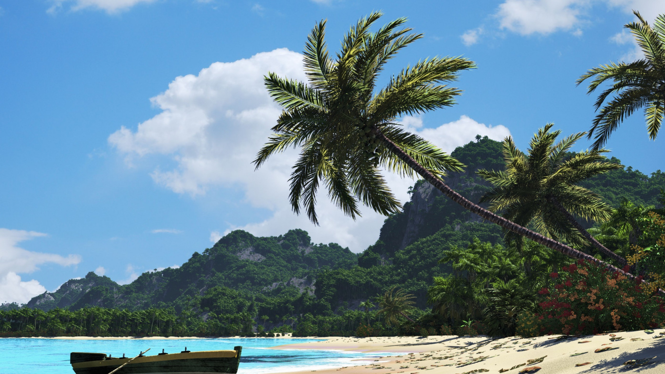 Palmier Vert Sur la Plage Pendant la Journée. Wallpaper in 1366x768 Resolution