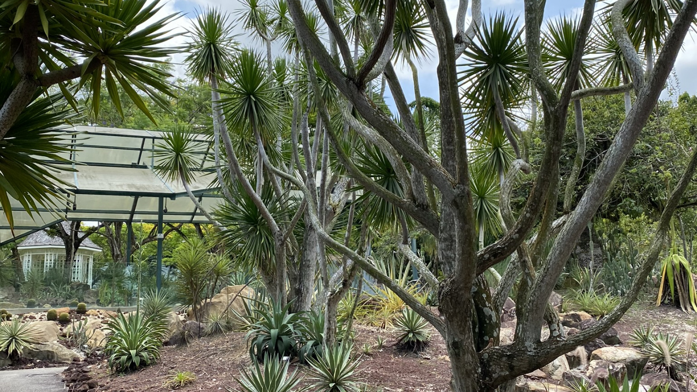 Vegetation, Biome, Heideflächen, Pflanzen, Pflanzen-Gemeinschaft. Wallpaper in 1366x768 Resolution