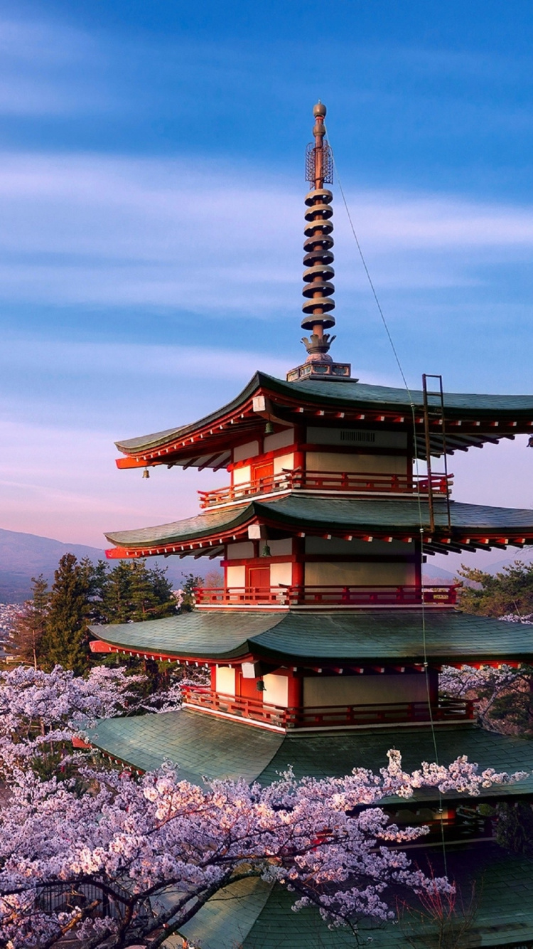 樱花, 富士山, 里程碑, 天空, 旅游业 壁纸 750x1334 允许