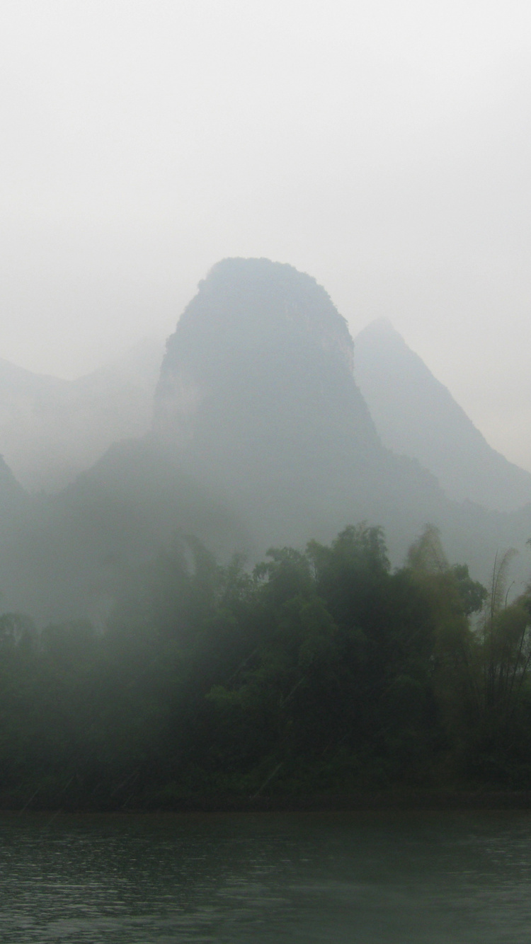 Grüne Bäume in Der Nähe Von Gewässern Tagsüber Water. Wallpaper in 750x1334 Resolution