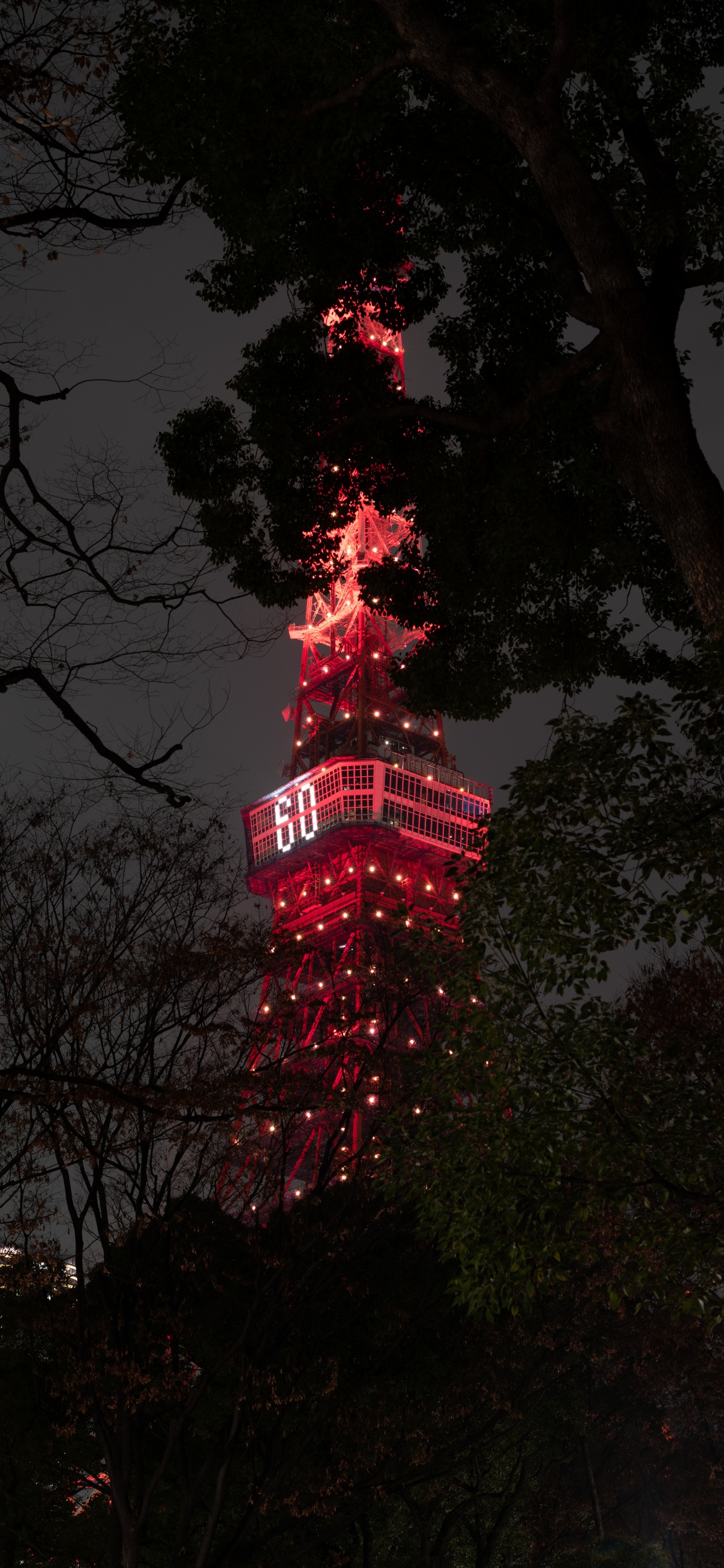 Rot-weißer Turm in Der Nähe Von Bäumen Während Der Nacht Night. Wallpaper in 1125x2436 Resolution