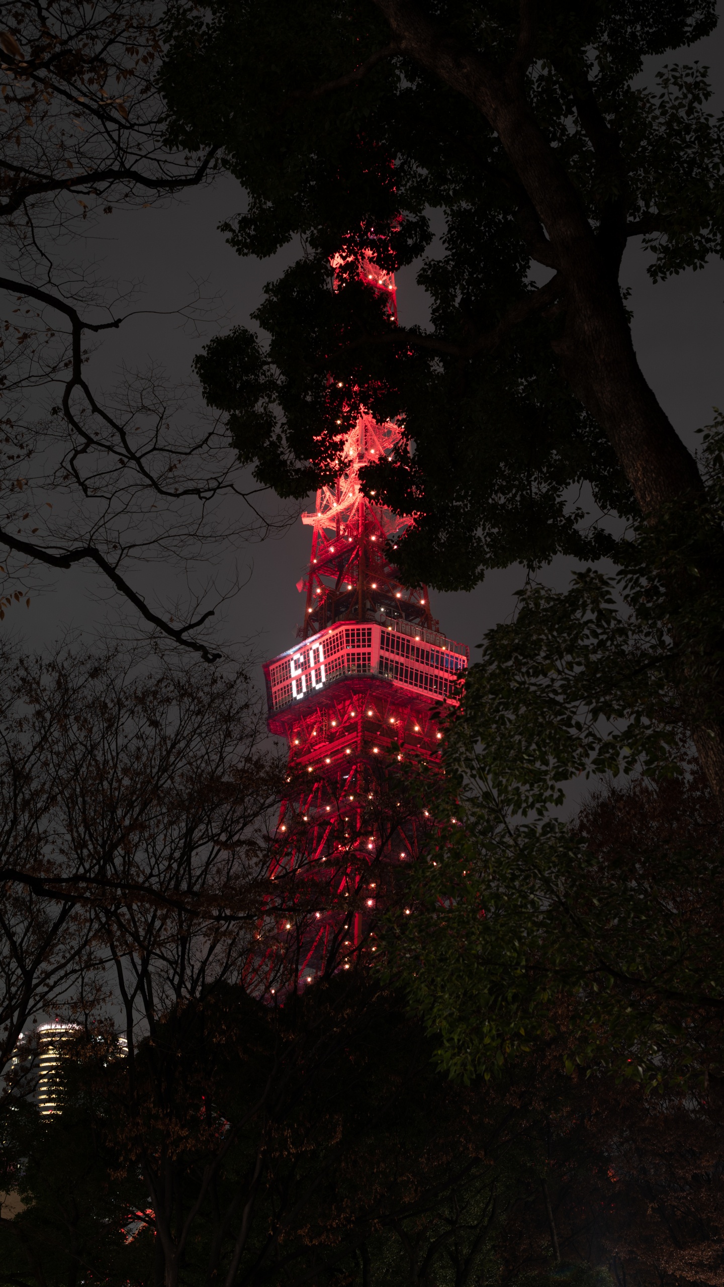 Rot-weißer Turm in Der Nähe Von Bäumen Während Der Nacht Night. Wallpaper in 1440x2560 Resolution