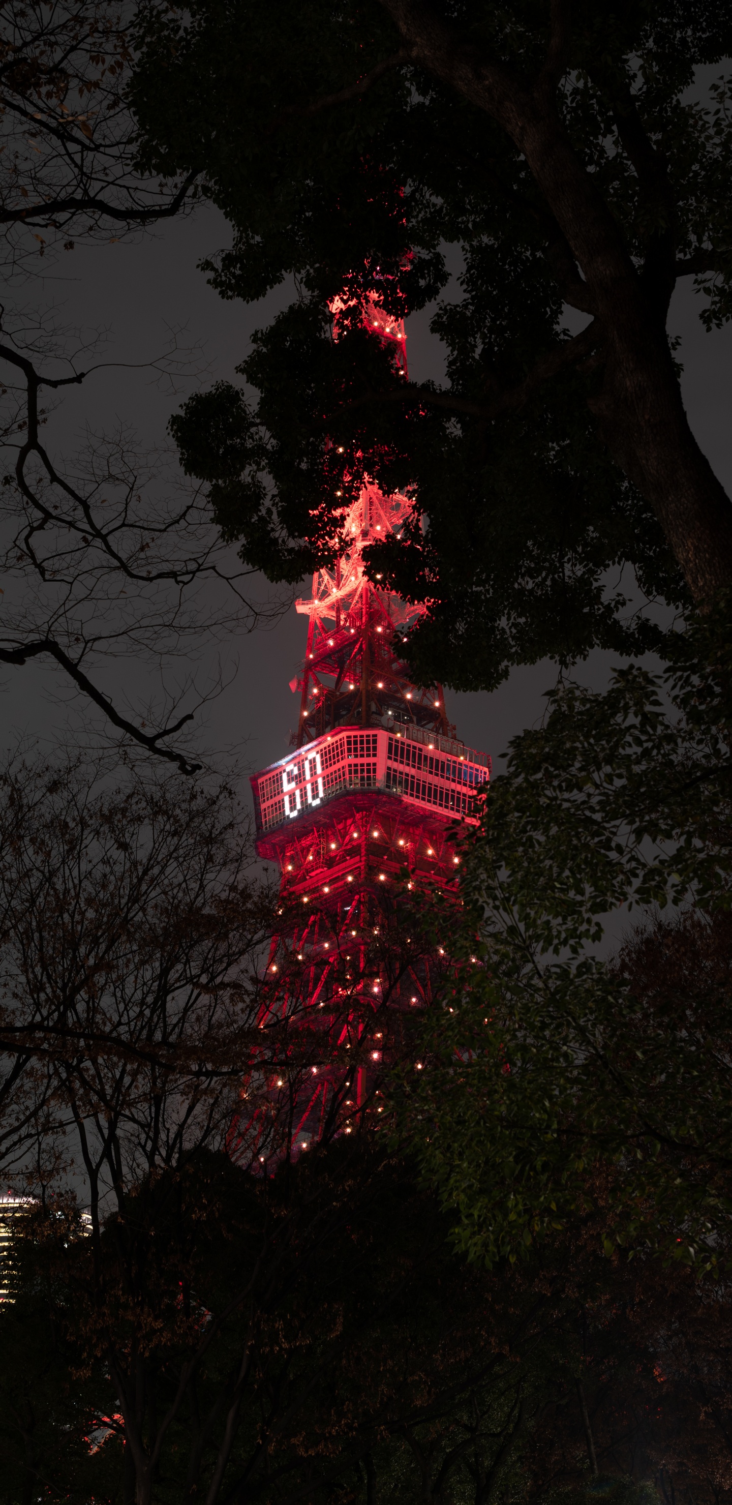 Rot-weißer Turm in Der Nähe Von Bäumen Während Der Nacht Night. Wallpaper in 1440x2960 Resolution