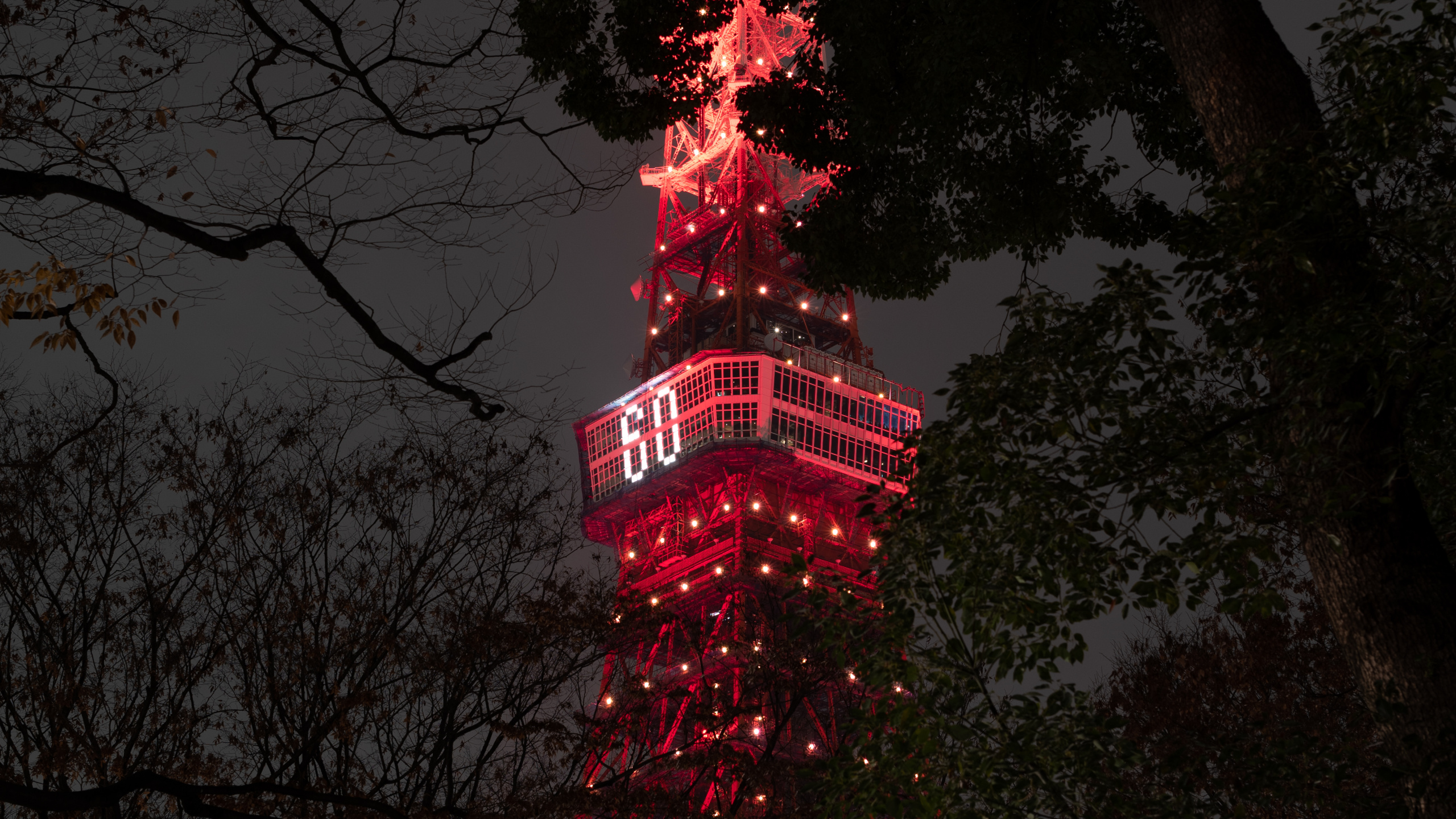 Red and White Tower Near Trees During Night Time. Wallpaper in 2560x1440 Resolution
