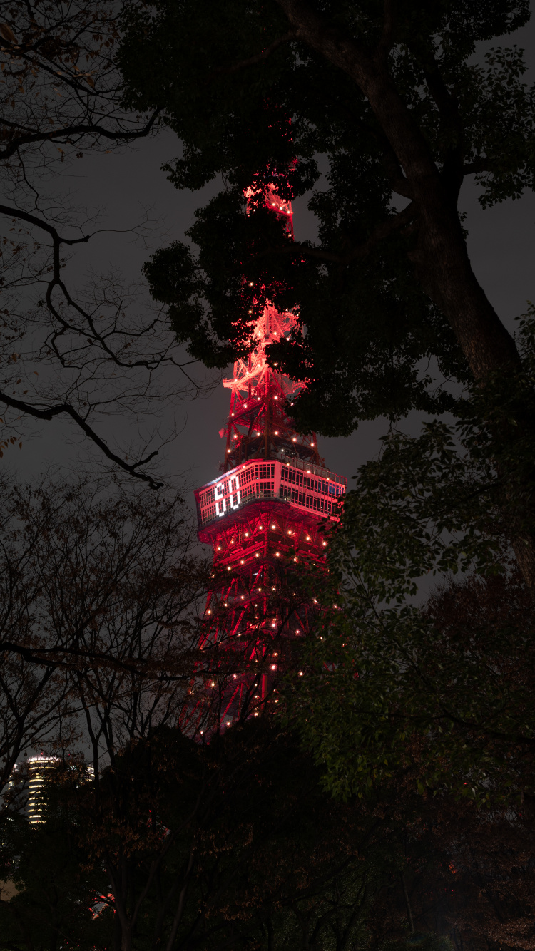 Red and White Tower Near Trees During Night Time. Wallpaper in 750x1334 Resolution