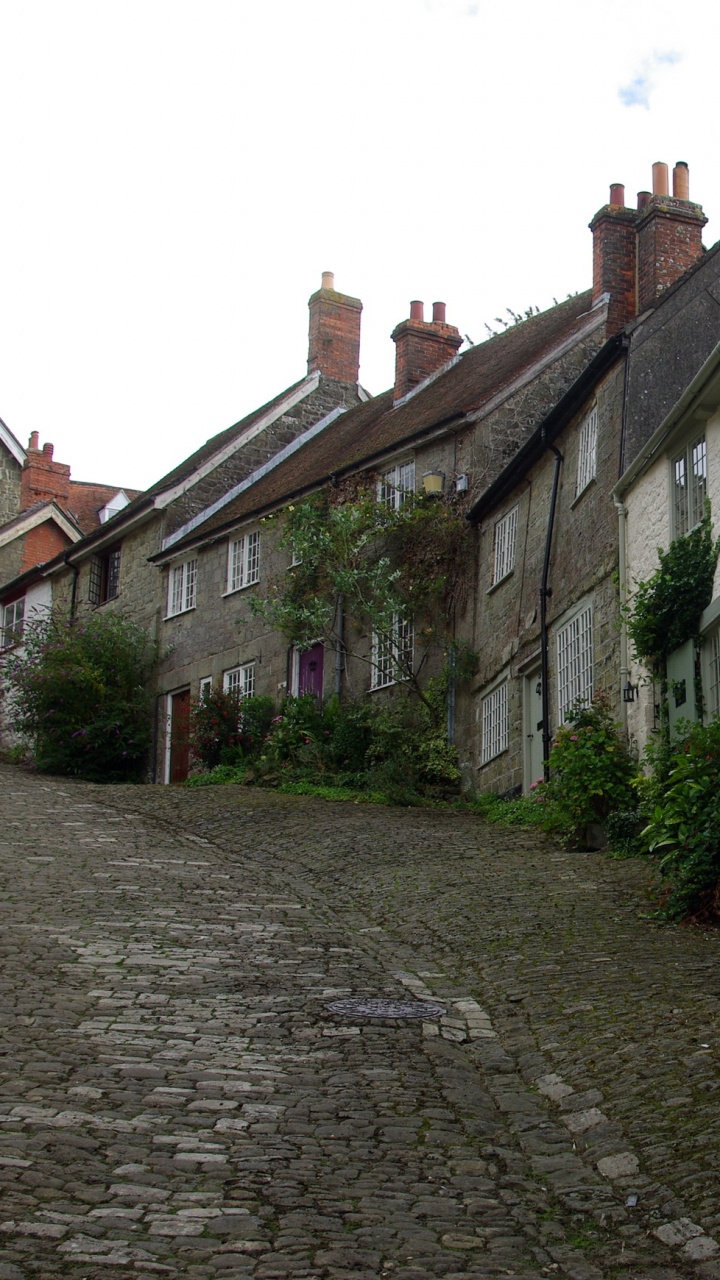Chemin de Béton Gris Entre Les Maisons Pendant la Journée. Wallpaper in 720x1280 Resolution