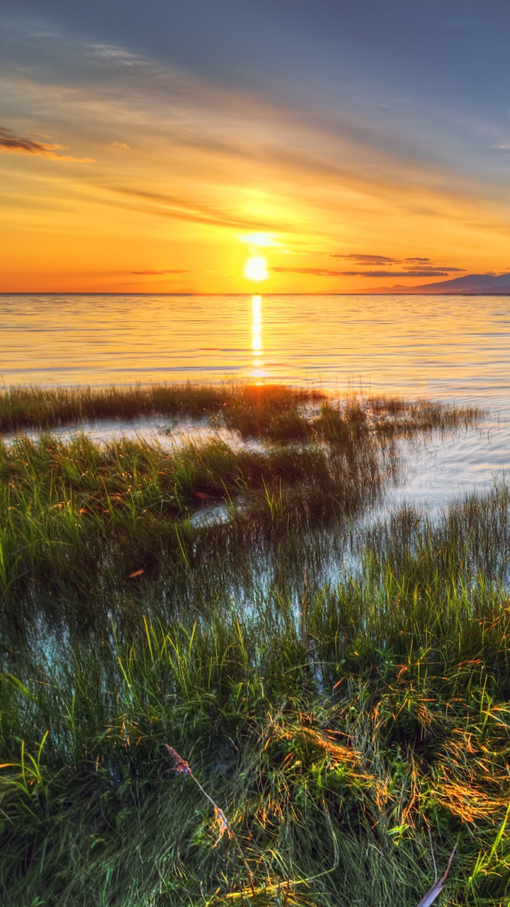 Green Grass Near Body of Water During Sunset. Wallpaper in 720x1280 Resolution