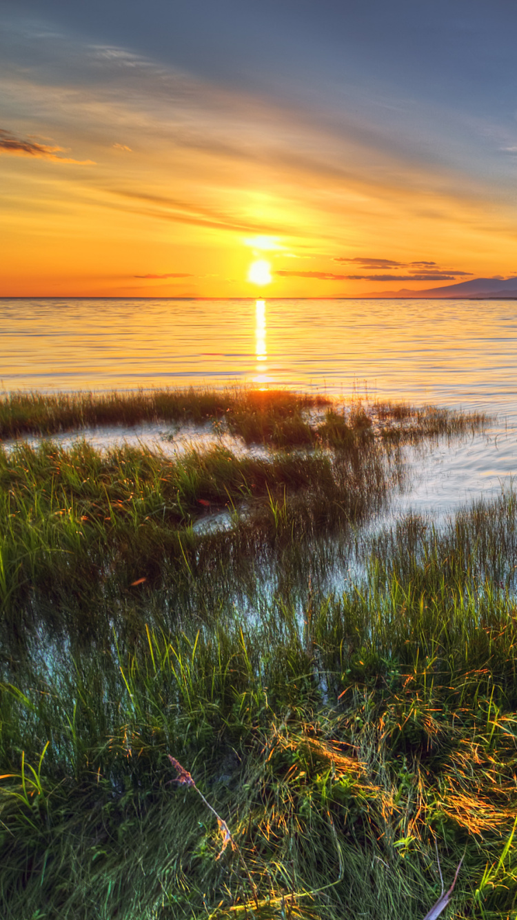 Hierba Verde Cerca Del Cuerpo de Agua Durante la Puesta de Sol. Wallpaper in 750x1334 Resolution