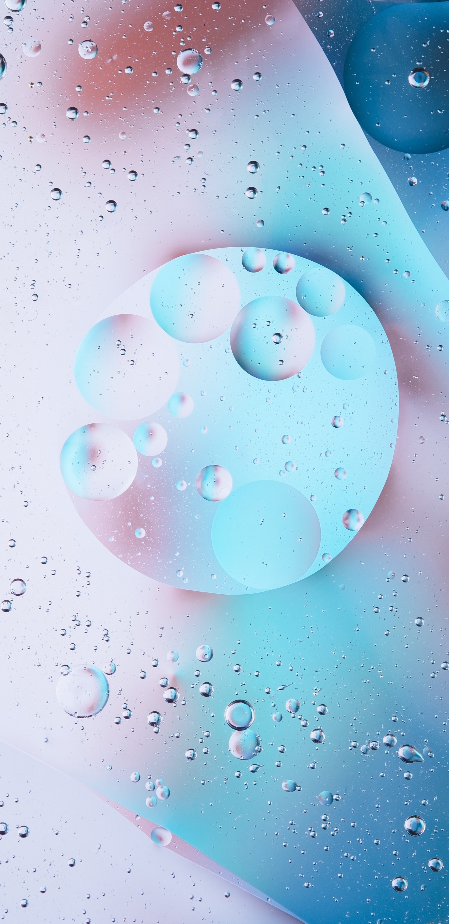 放下, 液泡沫, 水上, 圆圈, 天空 壁纸 1440x2960 允许