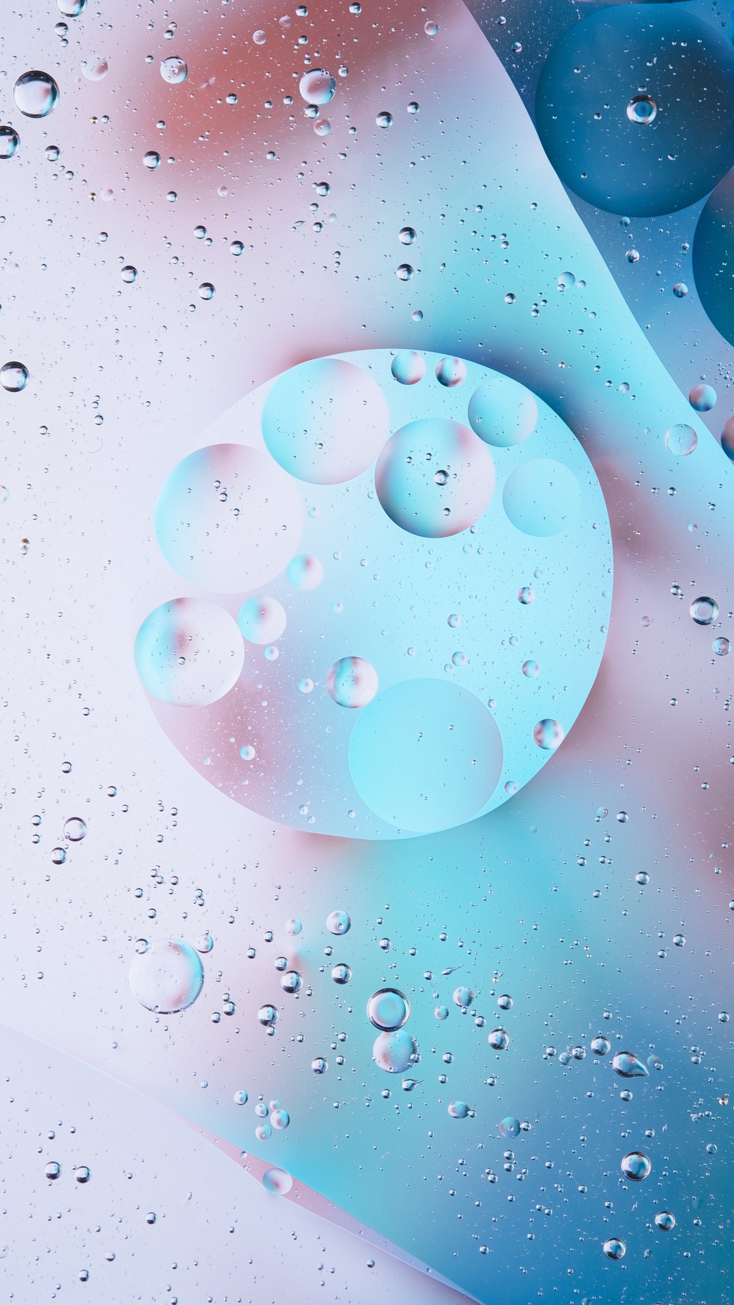 Red Round Plastic Ball Toys. Wallpaper in 1440x2560 Resolution