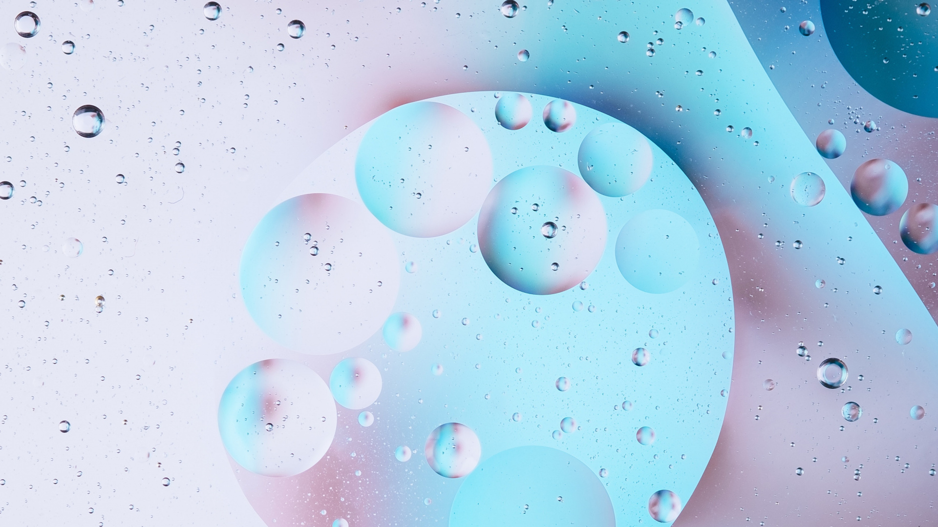 Red Round Plastic Ball Toys. Wallpaper in 1920x1080 Resolution