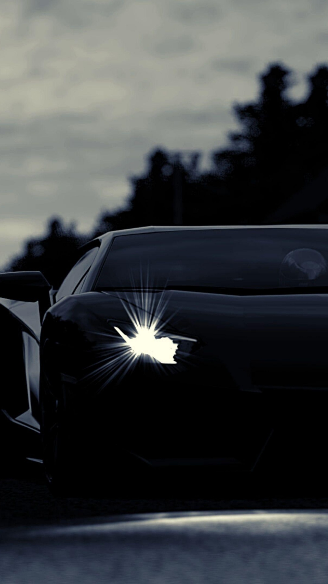 King, Lamborghini, Lamborghini Aventador, Sports Car, Automotive Lighting. Wallpaper in 1080x1920 Resolution