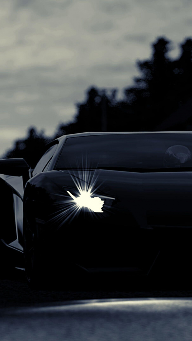 König, Lamborghini, Lamborghini Aventador, Sportwagen, Automotive Lighting. Wallpaper in 750x1334 Resolution