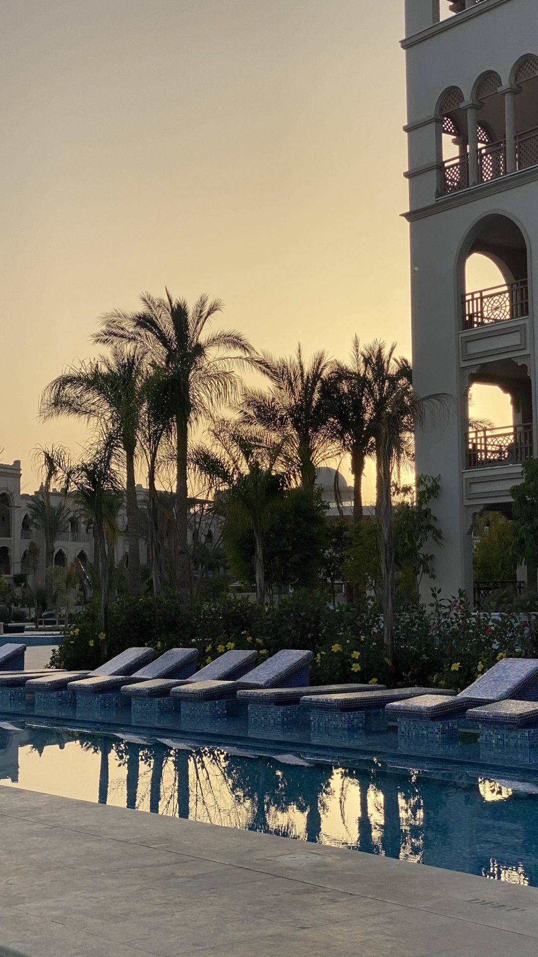 Reflection, Swimming Pool, Palm Trees, Real Estate, Water. Wallpaper in 1080x1920 Resolution