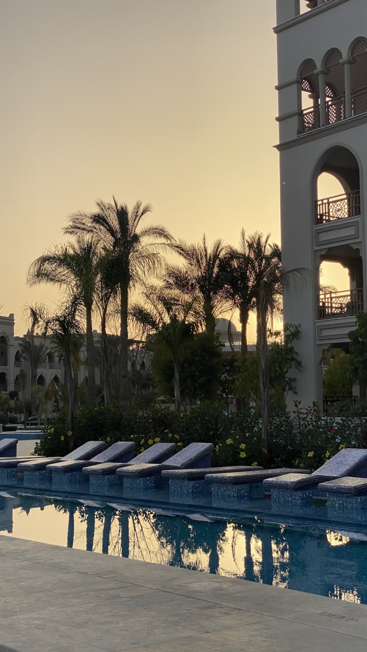 Réflexion, Palmier, Immobilier, Eau, Propriété. Wallpaper in 720x1280 Resolution