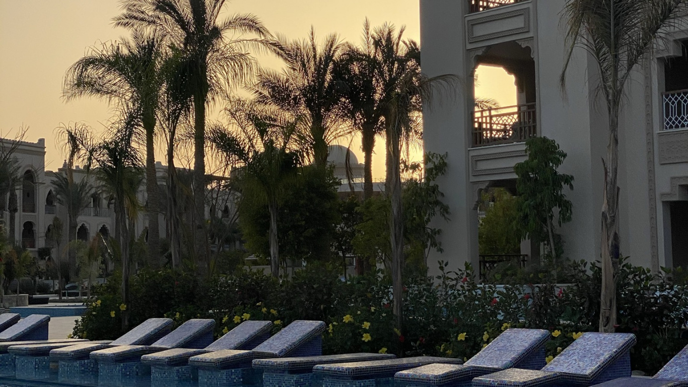 Reflexion, Pool, Palme, Immobilie, Wasser. Wallpaper in 1366x768 Resolution