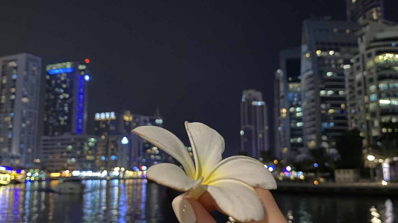 反射, 手指, 塔块, 大都会, 城市景观 壁纸 1280x720 允许