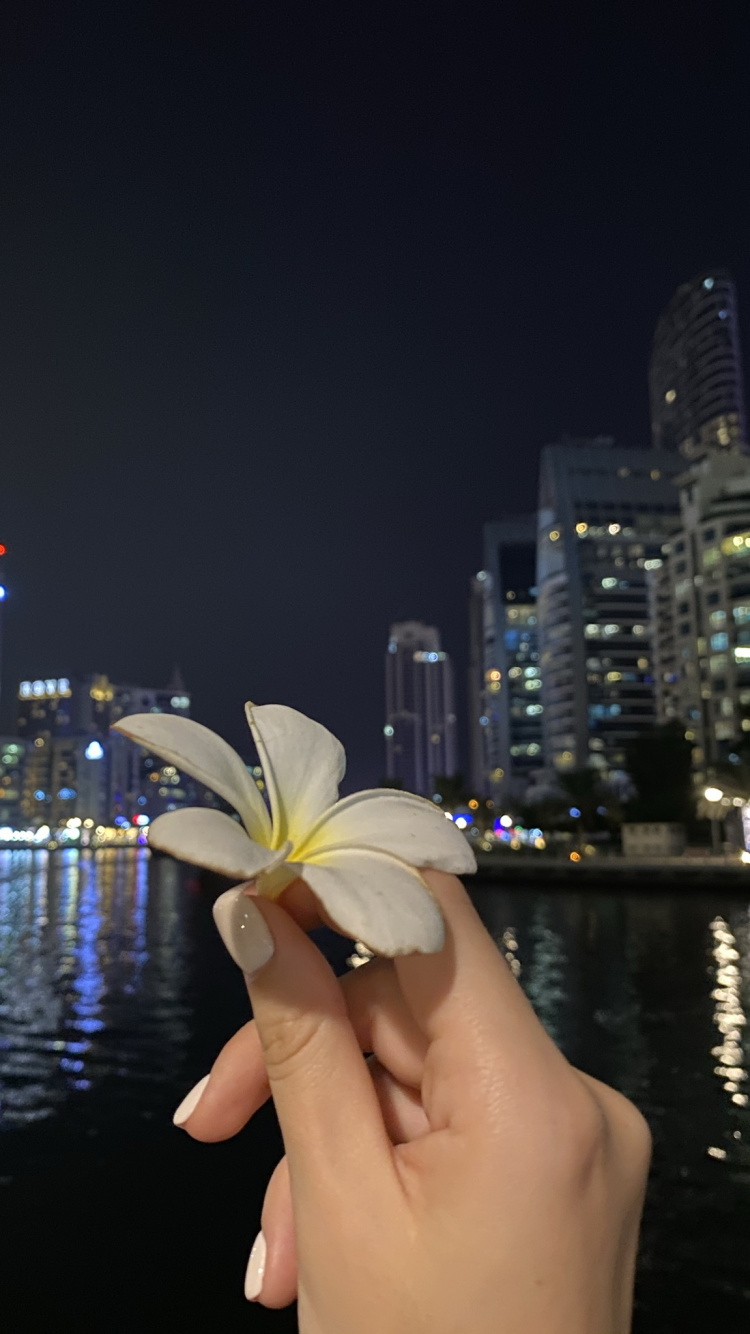 反射, 手指, 塔块, 大都会, 城市景观 壁纸 750x1334 允许