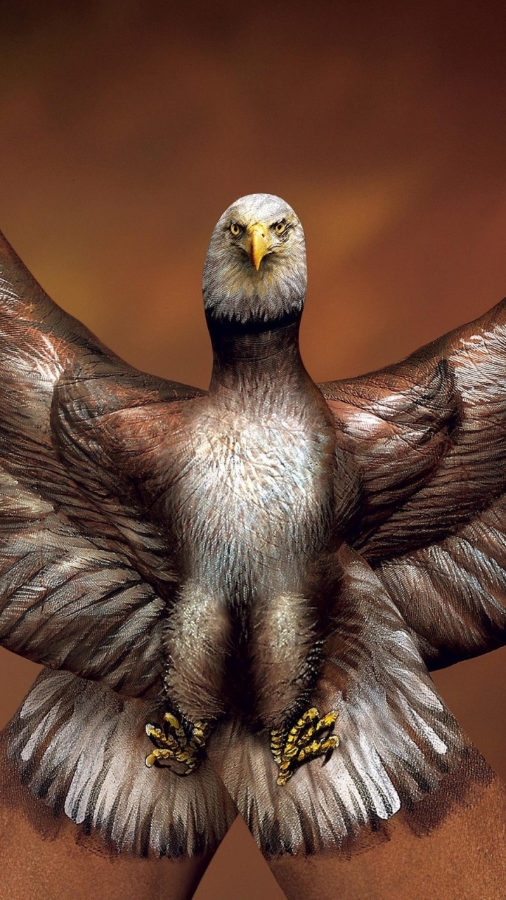 Oiseau Marron et Blanc Sur Une Surface en Bois Marron. Wallpaper in 720x1280 Resolution